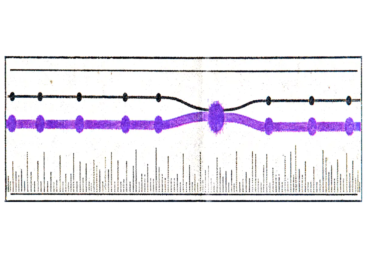Printed plate for Shadowbook: two node-and-edge traces running left to right, the lower one in purple, swelling apart at a single marked point above a dense field of latency ticks.