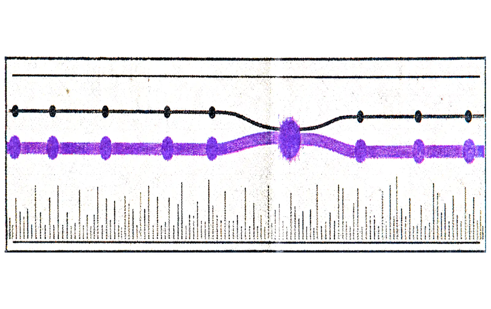 Printed plate for Shadowbook: two node-and-edge traces running left to right, the lower one in purple, swelling apart at a single marked point above a dense field of latency ticks.